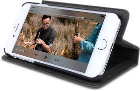 Twelve South 12 1659 Funda Champion para iPhone 5S - Estilo y Protección