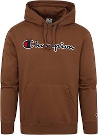 Sudadera Champion Capucha Logo Marrón para Hombre