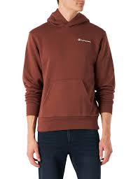 Sudadera Champion Future Fleece con Capucha para Hombre en Marrón