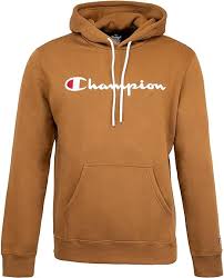 Sudadera de Capucha Champion con Logotipo para Hombre en Color Marrón