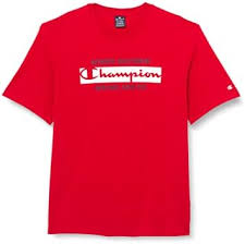 Camiseta Champion Graphic Authentic para Hombre