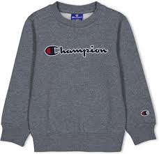 Sudadera Champion Gris para Niño - Comodidad y Estilo