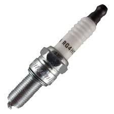 Champion RG4PHP: La Combinación Perfecta de Estilo y Comodidad